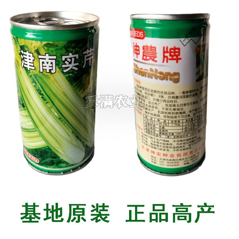 实心芹菜种津南实芹一号津南实芹芹菜种子原装正品耐寒