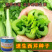 北京四海种业速生四季西芹王芹菜种子西洋芹种子纤维少高产包