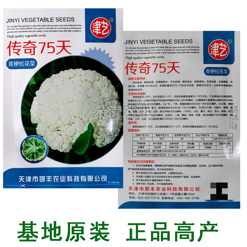 基地优品花菜种传奇75有机松花种子青梗花椰菜种籽菜花种子