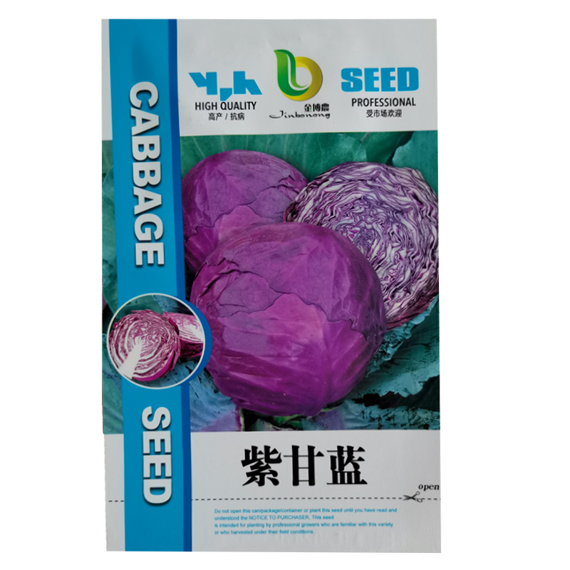新品紫甘蓝菜种子紫卷心菜包心菜籽种红甘兰包菜甘蓝种子
