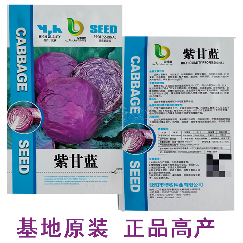 新品紫甘蓝菜种子紫卷心菜包心菜籽种红甘兰包菜甘蓝种子