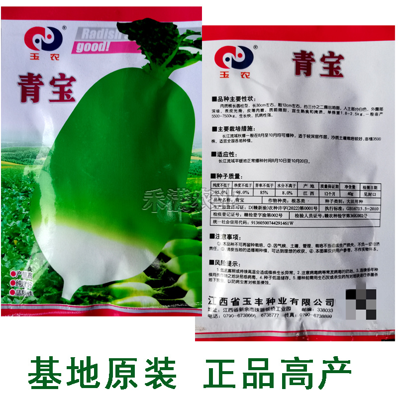 玉农青宝萝卜种子绿皮萝卜种籽春秋高产四季蔬菜青萝卜种子