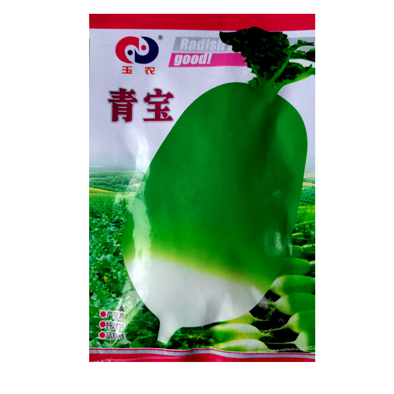 玉农青宝萝卜种子绿皮萝卜种籽春秋高产四季蔬菜青萝卜种子