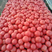 精品西红柿硬粉西红柿支持全国各地发货对接电商