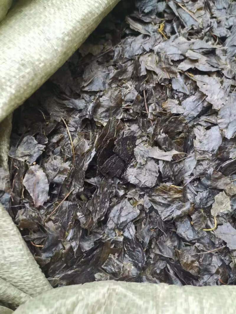 小叶苦丁茶，大量供应，自然晒干，质量保证，精品