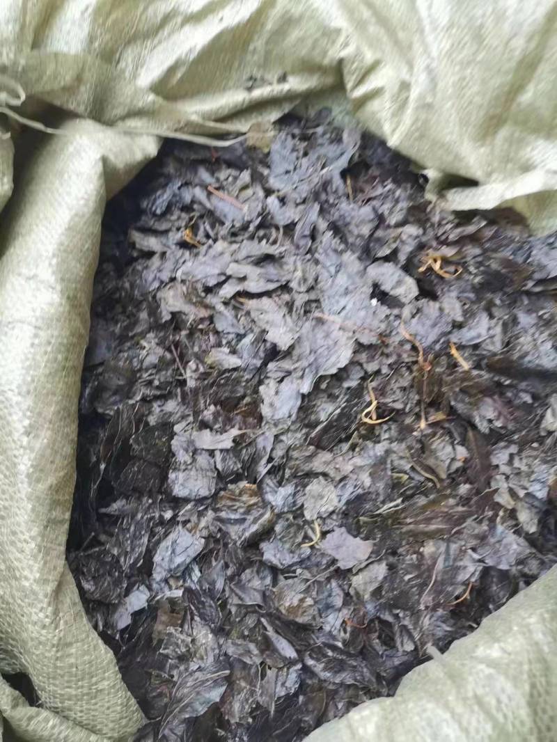 小叶苦丁茶，大量供应，自然晒干，质量保证，精品