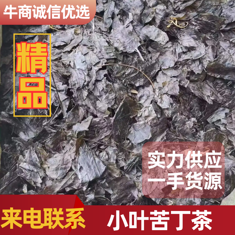 小叶苦丁茶，大量供应，自然晒干，质量保证，精品