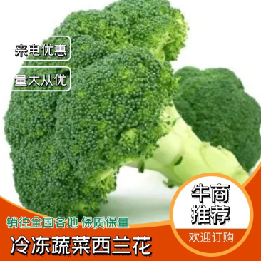 『厂家直销』厂家直销冷冻蔬菜西兰花,价格优惠,量大从优