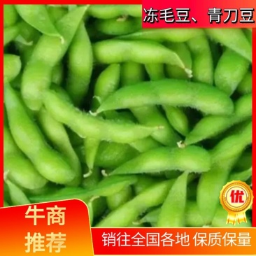 『牛商推荐』精品冷冻蔬菜冻毛豆、青刀豆大量供应,全国发货