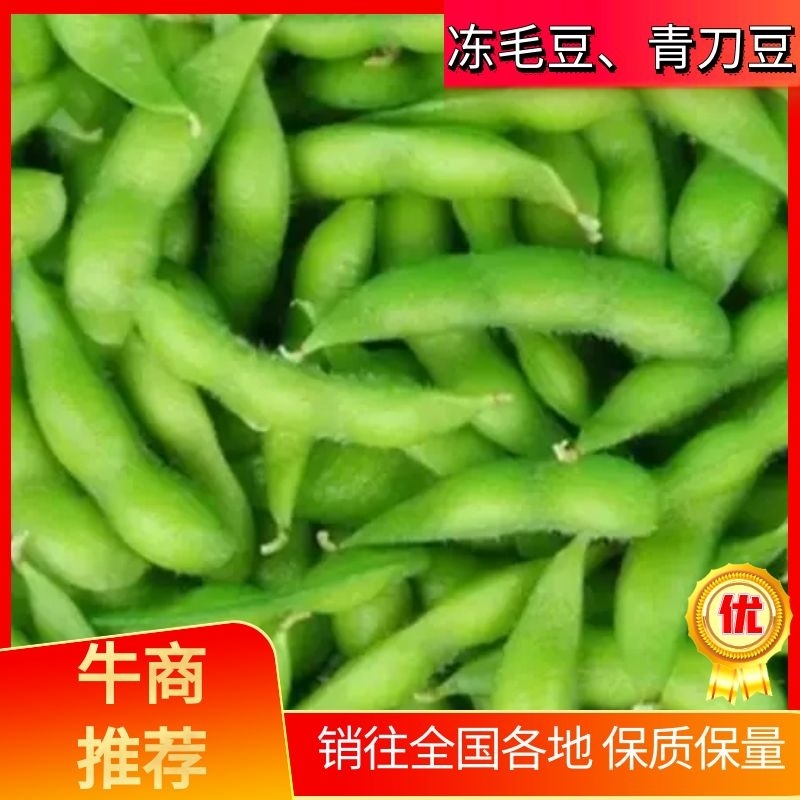 『牛商推荐』精品冷冻蔬菜冻毛豆、青刀豆大量供应，全国发货