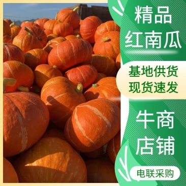 【南瓜】内蒙红南瓜种植基地货源充足保质保量