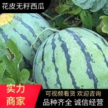 西瓜源头供应随时有货