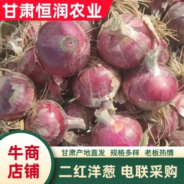 甘肃二红洋葱，货源充足，产地直供，全国发货