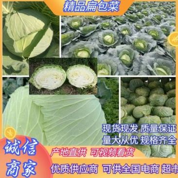 富硒苞菜扁包菜万亩基地任君选购一手货源,量大从优。