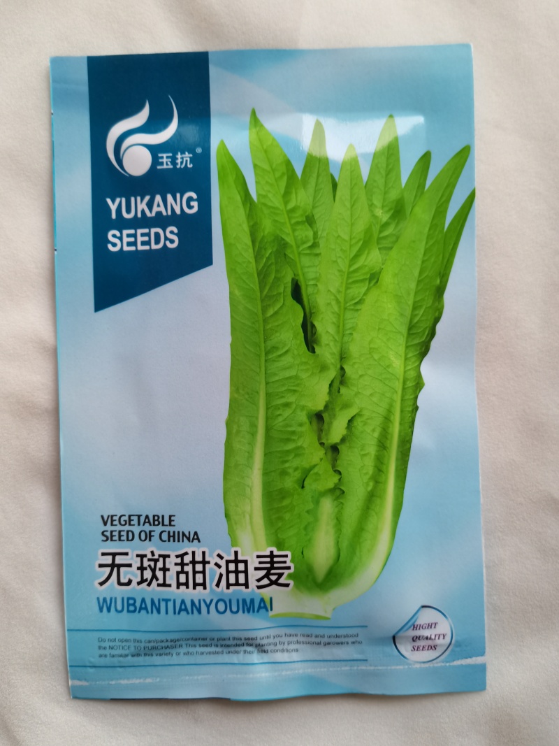 速生油麦菜种子四季香油麦菜种籽阳台耐寒青菜春秋季农家蔬菜