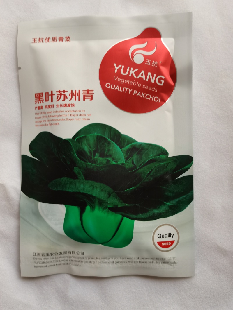 黑叶矮脚苏州青种子四季播种孑耐寒苏州青种子