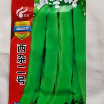 西杂二号四季豆种子扁豆种子芸豆种子豆角种子早熟蔬菜种子大