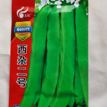 西杂二号四季豆种子扁豆种子芸豆种子豆角种子早熟蔬菜种子大