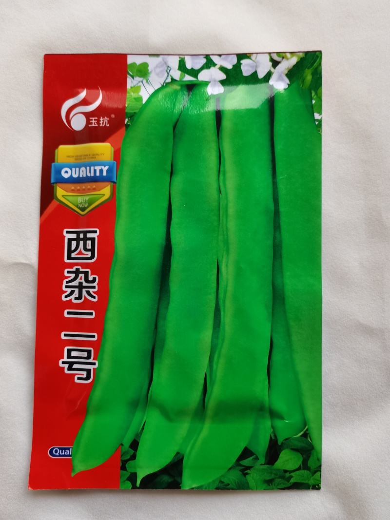 西杂二号四季豆种子扁豆种子芸豆种子豆角种子早熟蔬菜种子大