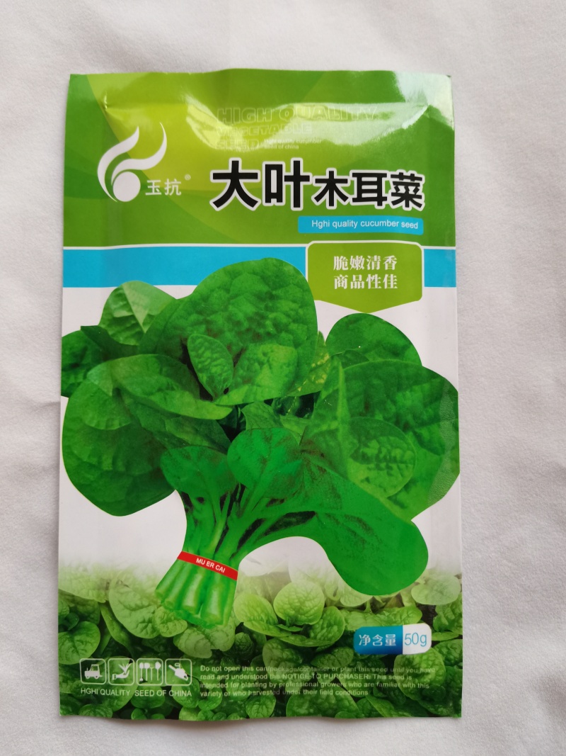 大叶木耳菜种籽蔬菜种子四季春秋冬春季种孑秋季木耳菜种子