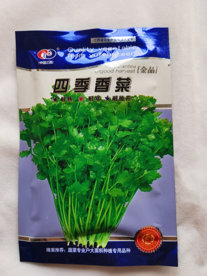 耐寒耐热香菜种子大叶芫荽阳台四季速生香菜种籽种籽农家蔬菜