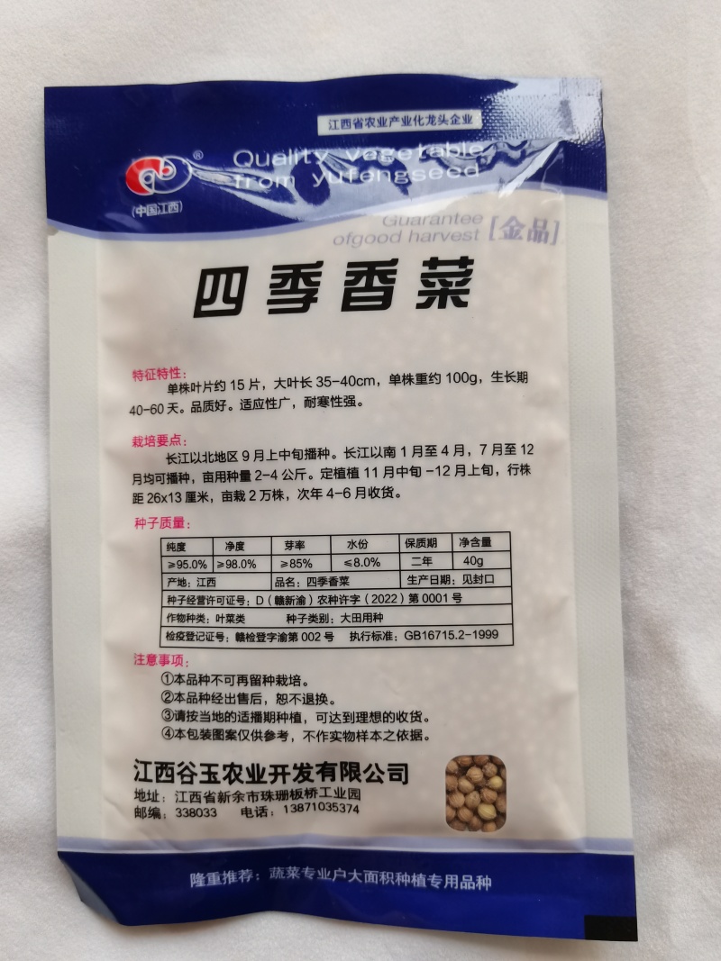 耐寒耐热香菜种子大叶芫荽阳台四季速生香菜种籽种籽农家蔬菜