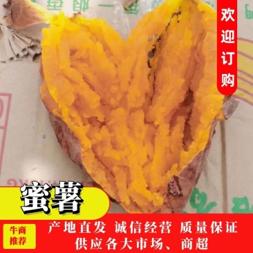 蜜薯烟薯大量供货全国发货装车代发一条龙服务