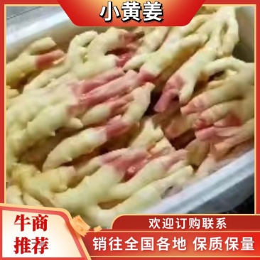 优质生姜-生姜-小黄姜，鲜姜保质保量基地发货一条龙服务