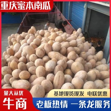 重庆密本南瓜老南瓜规格多样，货源充足，价格公道，电联