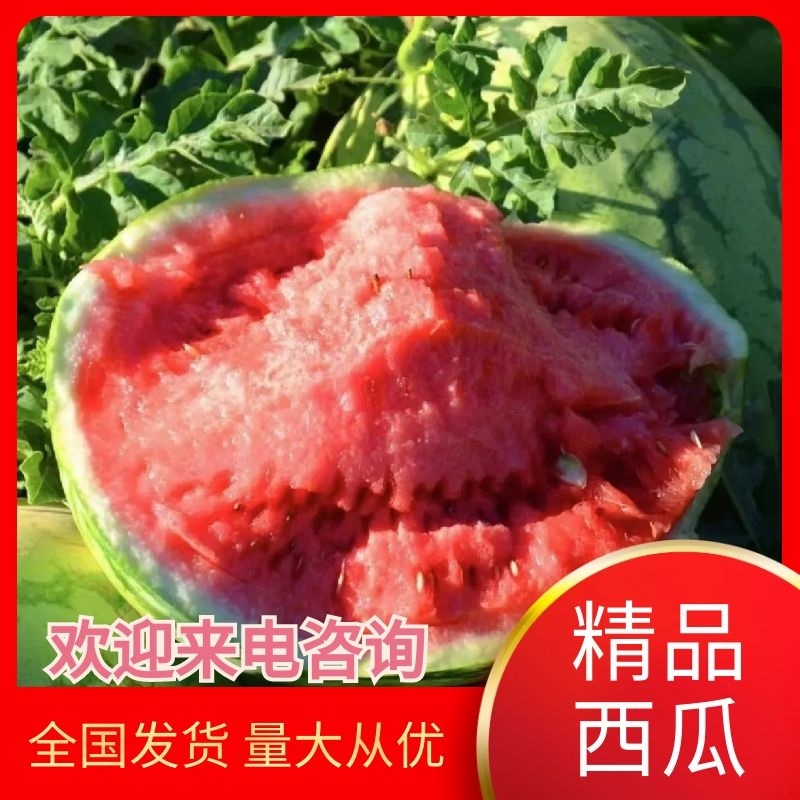 诚信经营/庆红999西瓜/地雷瓜/各种西瓜/内蒙西瓜