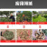 干湿树枝粉碎机移动式柴油枝条打碎机枝条树叶粉碎机器