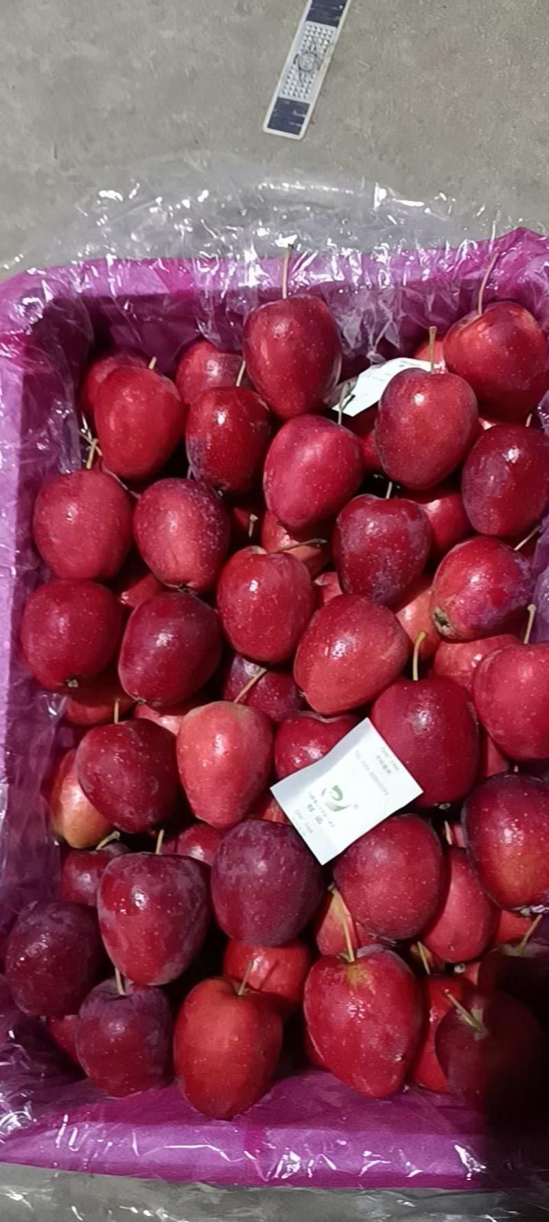 便宜好货！铁岭鸡心果海棠果苹果大量上市对接全国客商外贸单