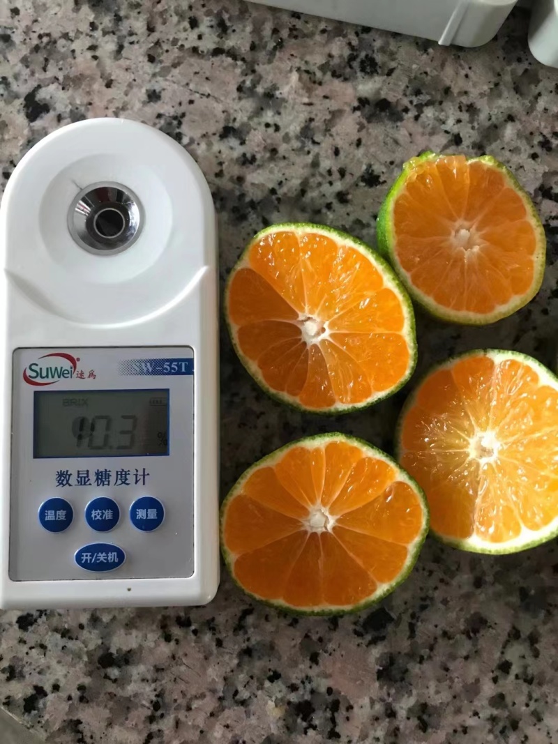 云南高原特早蜜橘上市了，欢迎进店选购，欢迎致电
