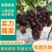 巨峰葡萄1.5~2斤产地一手货源对接全国电商批发商