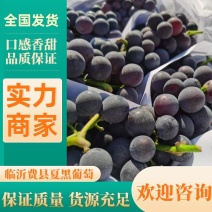 山东葡萄夏黑葡萄1.5~2斤全国发货价格便宜