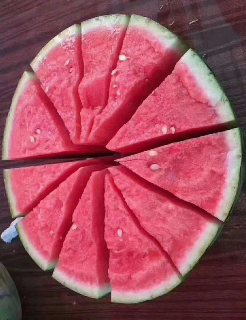 甘肃产区无籽麒麟大量供应中，按需包装，适合各大市场