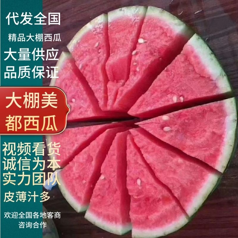 甘肃产区无籽麒麟大量供应中，按需包装，适合各大市场