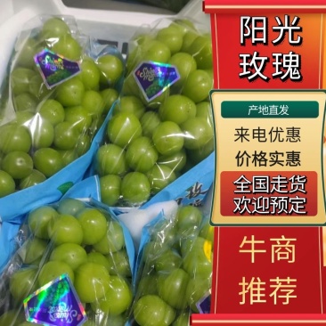 高品质湖南常德阳光玫瑰，颗粒饱满。大小均匀，串行漂亮