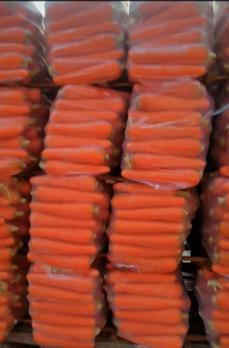 胡萝卜红萝卜河南开封精品胡萝卜一手货源量大更优惠