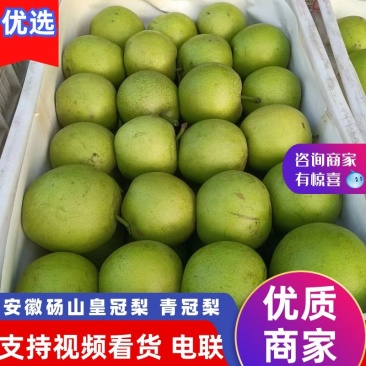 青黄冠梨支持预定视频看货买家自理来电