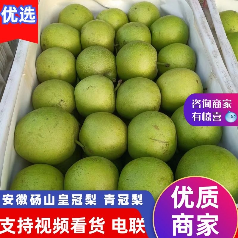 青黄冠梨支持预定视频看货买家自理来电