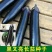 黑油亮茄子种子抗病丰产早熟杂交种春夏秋播种茄子蔬菜种子黑