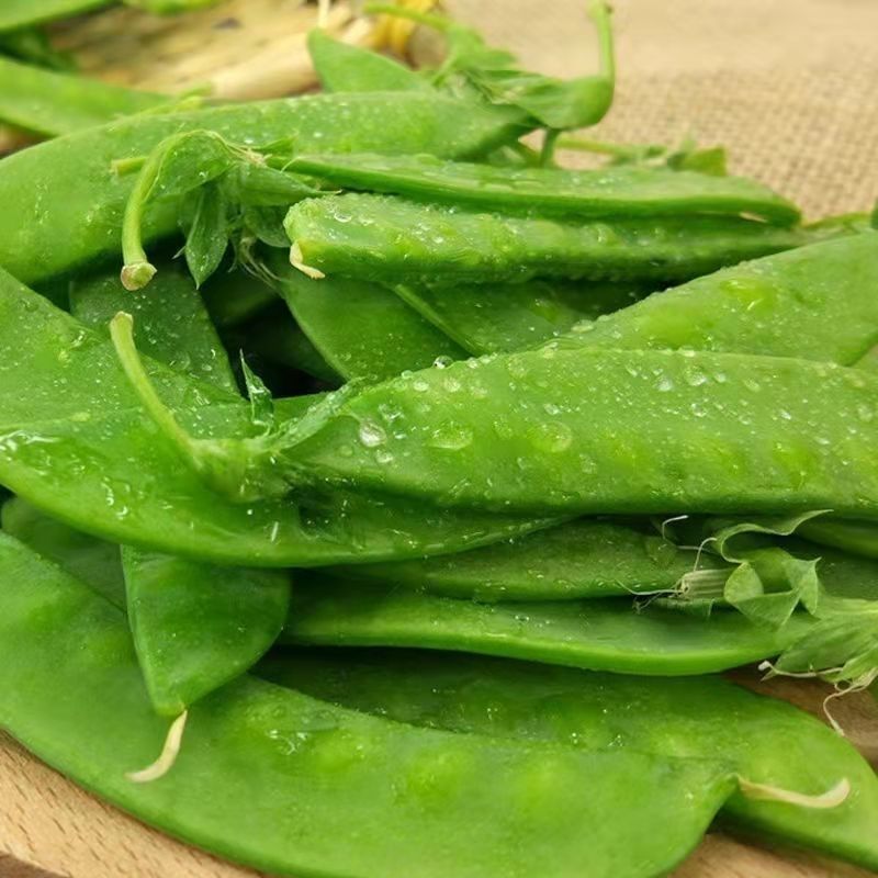 1斤装菜豌豆种子甜脆吃壳肉豌豆种子豌豆种子早熟耐寒丰产蔬