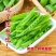 1斤装菜豌豆种子甜脆吃壳肉豌豆种子豌豆种子早熟耐寒丰产蔬