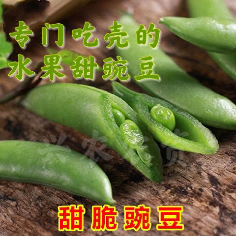 1斤装菜豌豆种子甜脆吃壳肉豌豆种子豌豆种子早熟耐寒丰产蔬