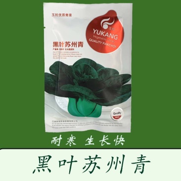 黑叶矮脚苏州青种子四季播种孑耐寒苏州青种子