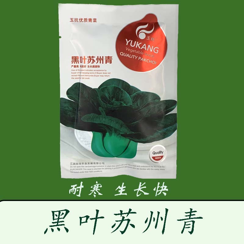 黑叶矮脚苏州青种子四季播种孑耐寒苏州青种子