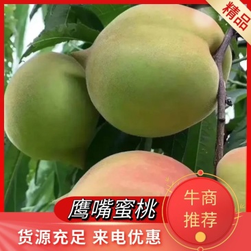 鹰嘴蜜桃产地直发口感脆甜价格不贵质量保证欢迎老板下单选购