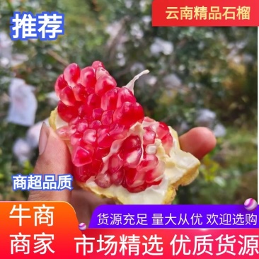 突尼斯软籽石榴，电商一件代发供应链。有需要的老板可以下单