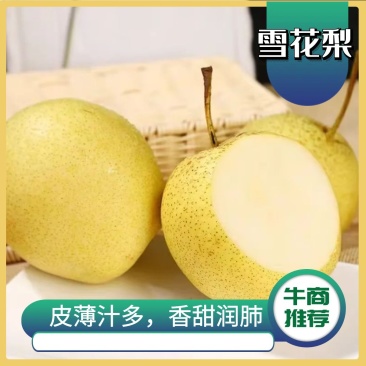 泸西雪花梨高原梨大量上市口感脆甜水分多质量保证价格优惠